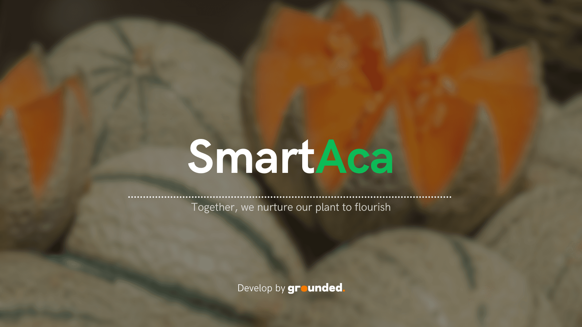 Smartaca